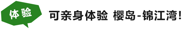 体験しよう！ 眺めるだけではもったいない。体験を通じて感じて下さい