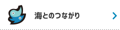 海とのつながり