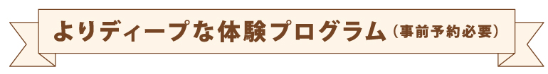 体験プログラムタイトル2