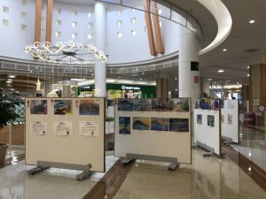 第9回桜島・錦江湾ジオパークスケッチコンクール入賞作品展示のお知らせ