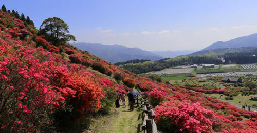 高峠つつじヶ丘公園