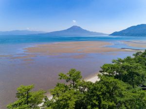 重富海岸の干潟