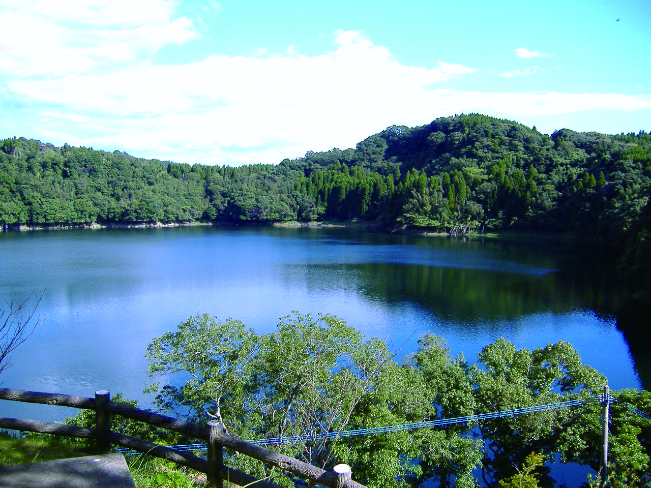 米丸マール・住吉池