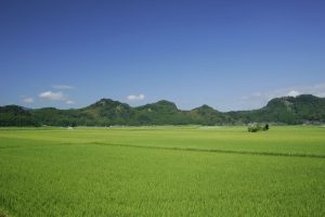 米丸マール